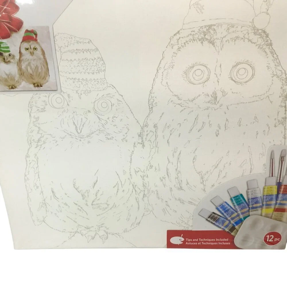 Paint by Number Kit NEW Artist's Loft PBN Owl Owls Canvas Acrylic Tubes Brushes
